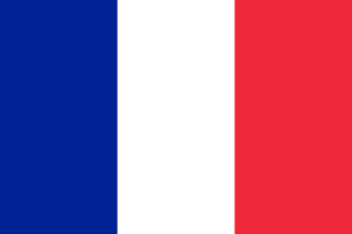 Voir en français